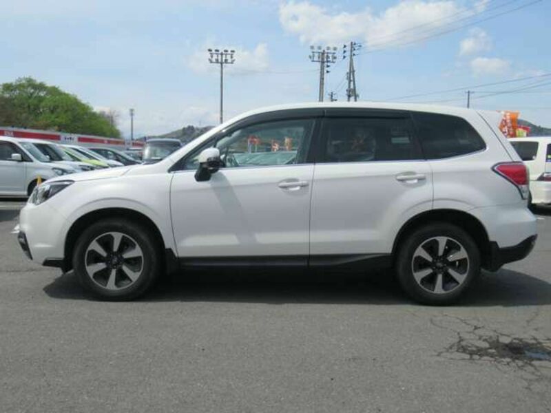 FORESTER