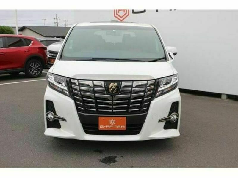 ALPHARD-6