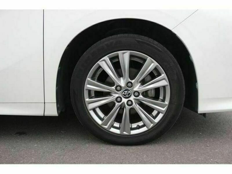 ALPHARD-10