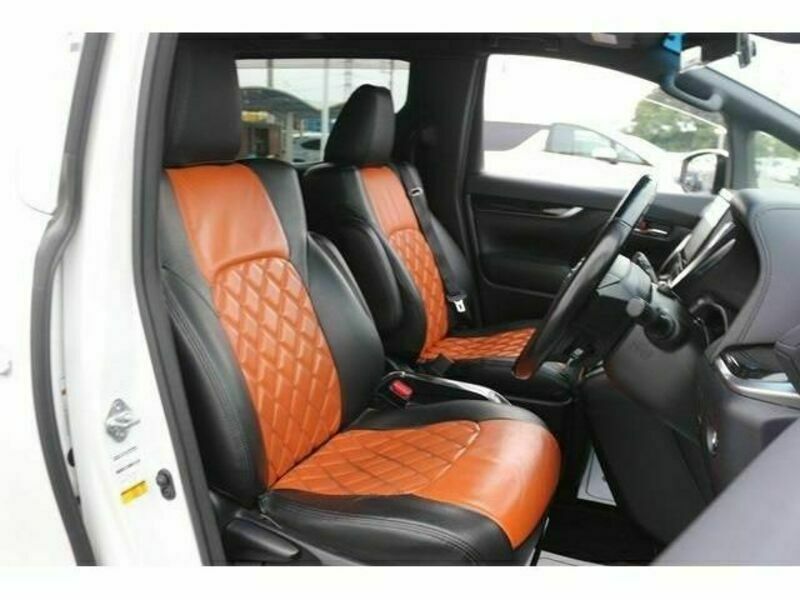 ALPHARD-13