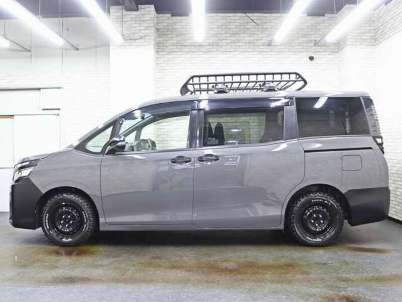 VOXY-11