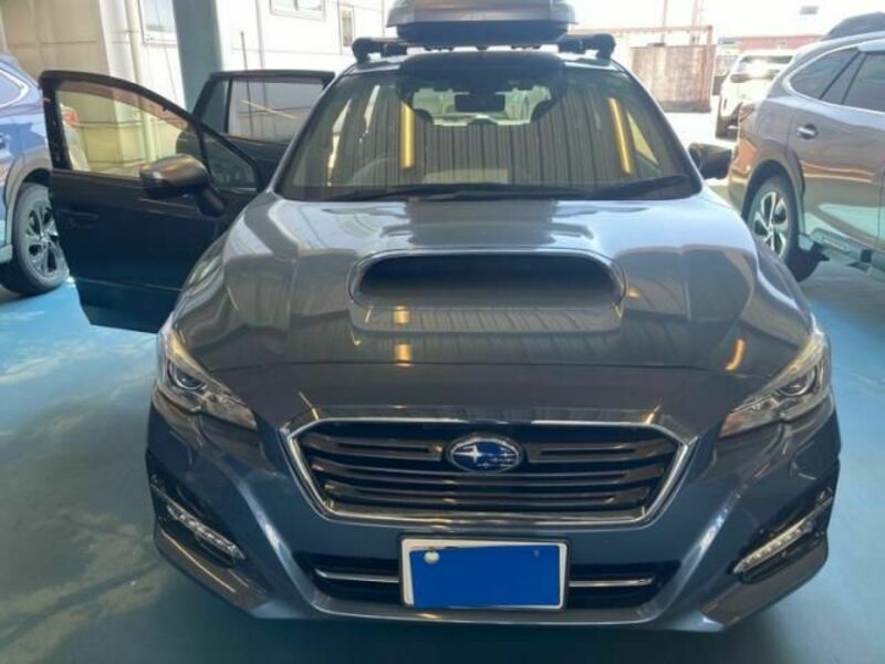 LEVORG