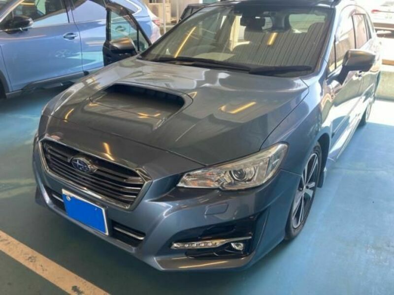 LEVORG