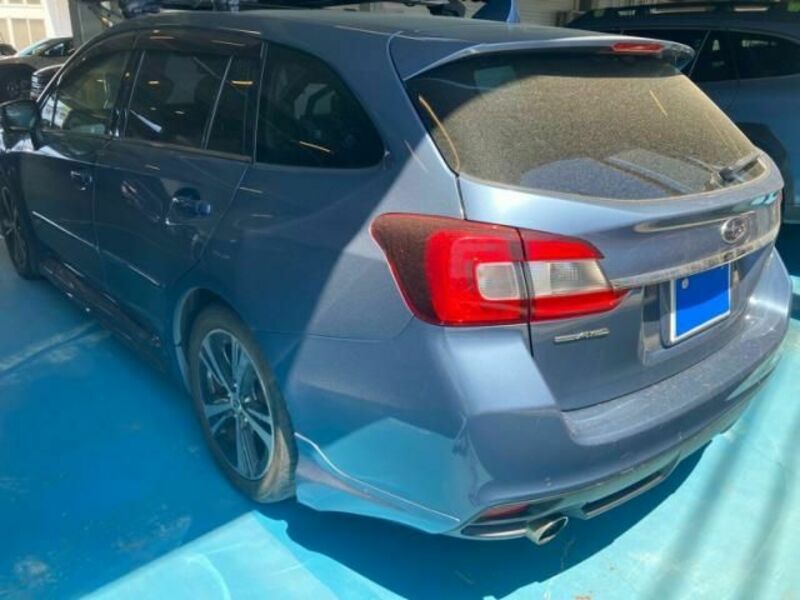 LEVORG