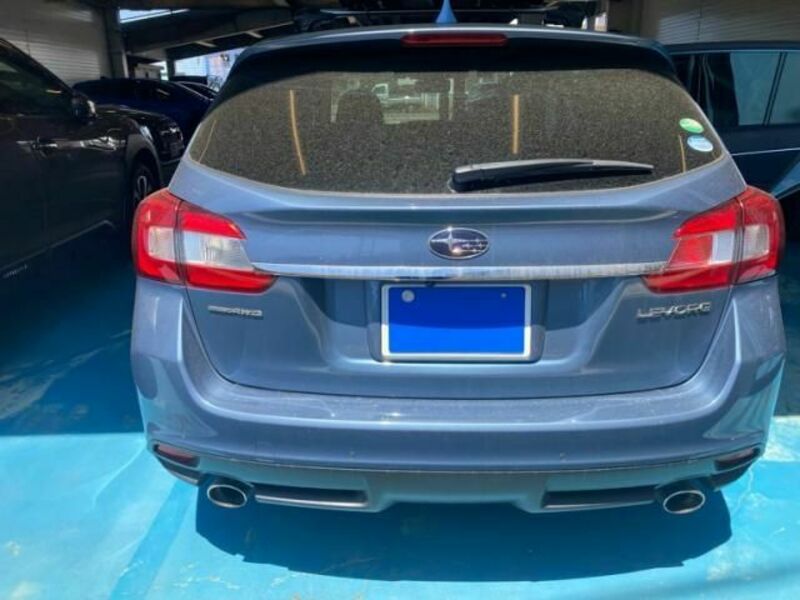 LEVORG