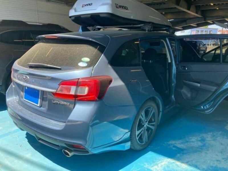 LEVORG