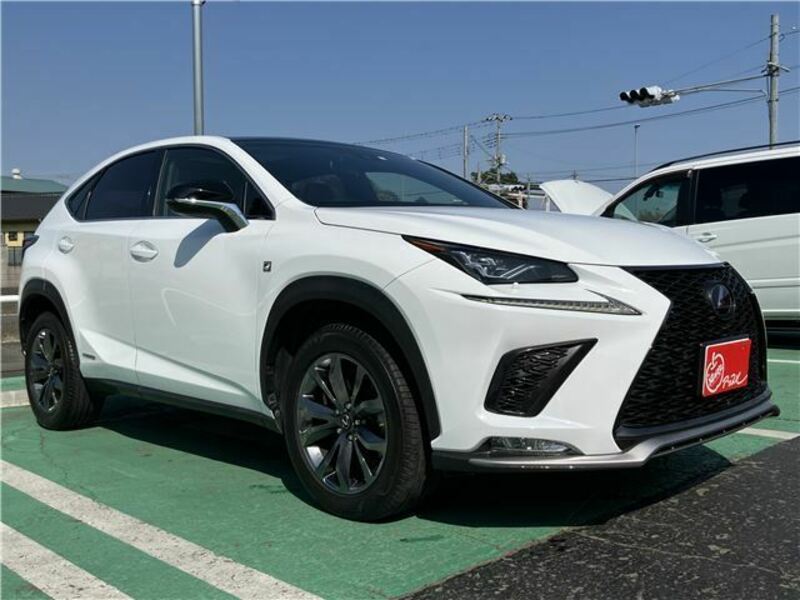 NX