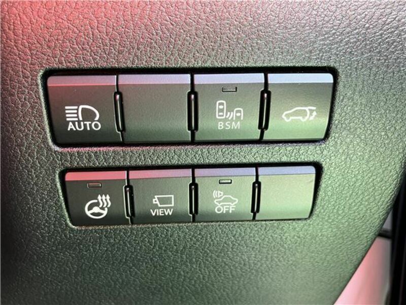 NX