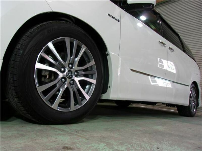 ESTIMA HYBRID-19
