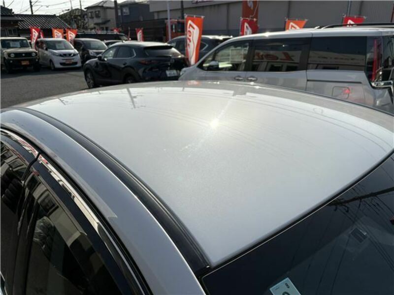 LEGACY B4