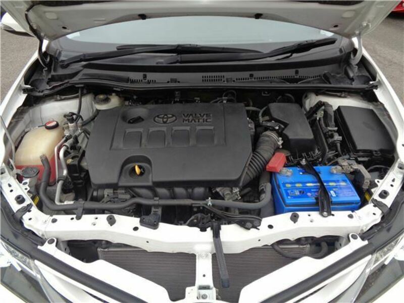 AURIS