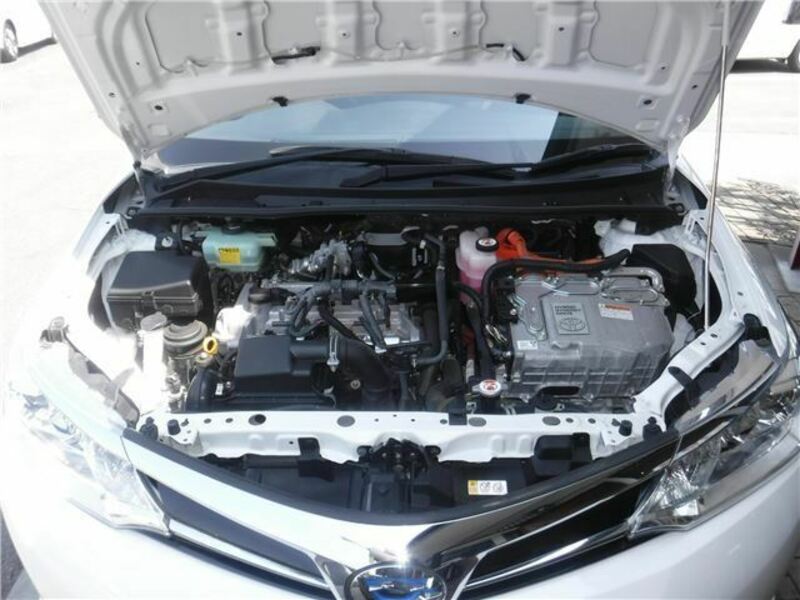 COROLLA FIELDER