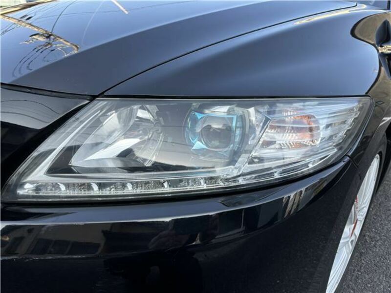 CR-Z-19