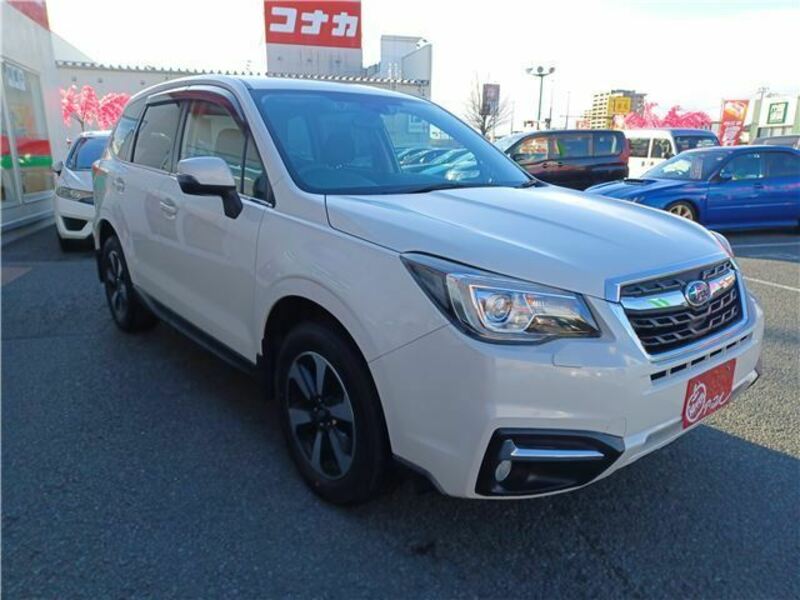 FORESTER