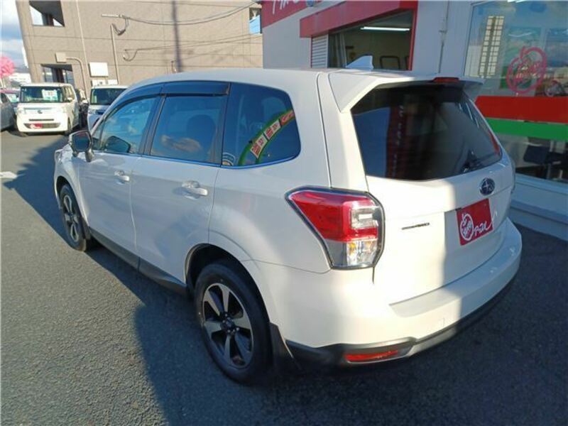 FORESTER