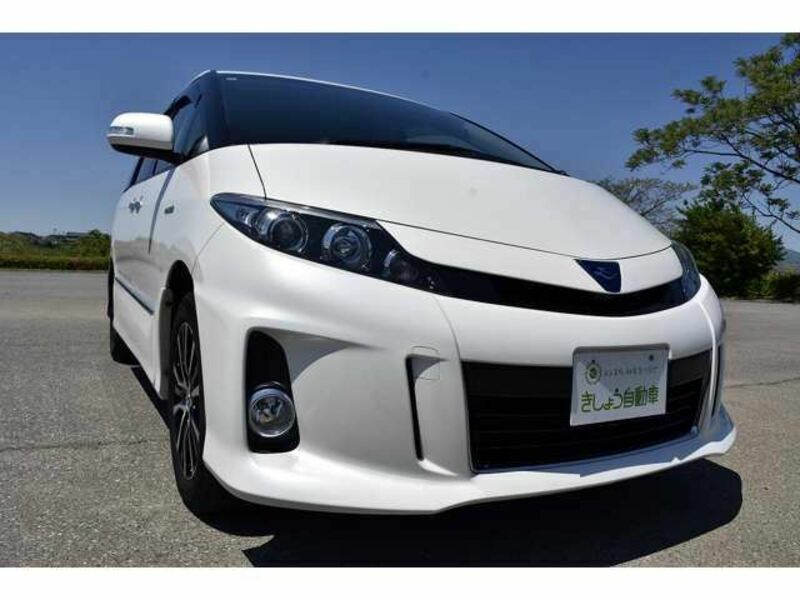 ESTIMA HYBRID-19