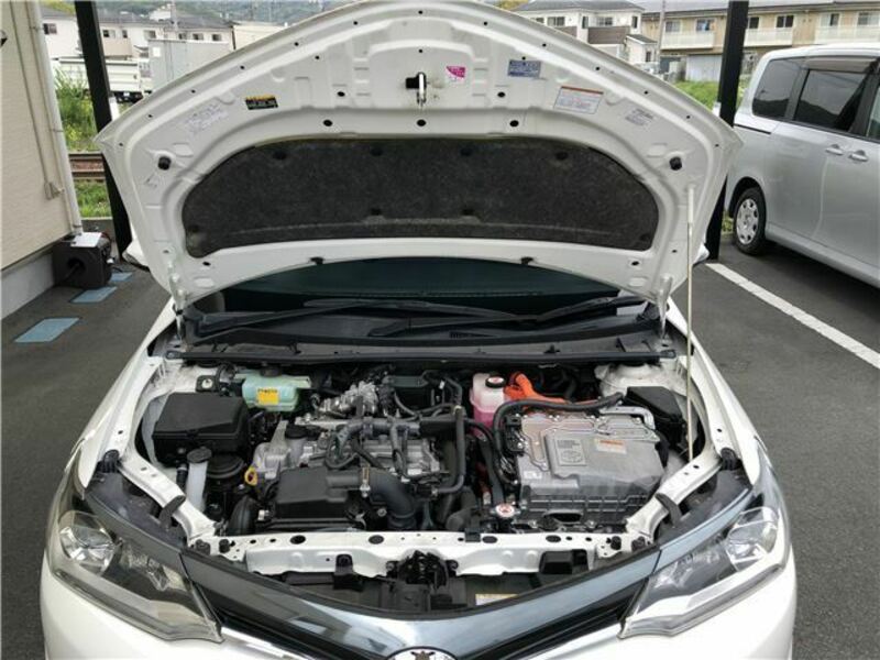 COROLLA FIELDER