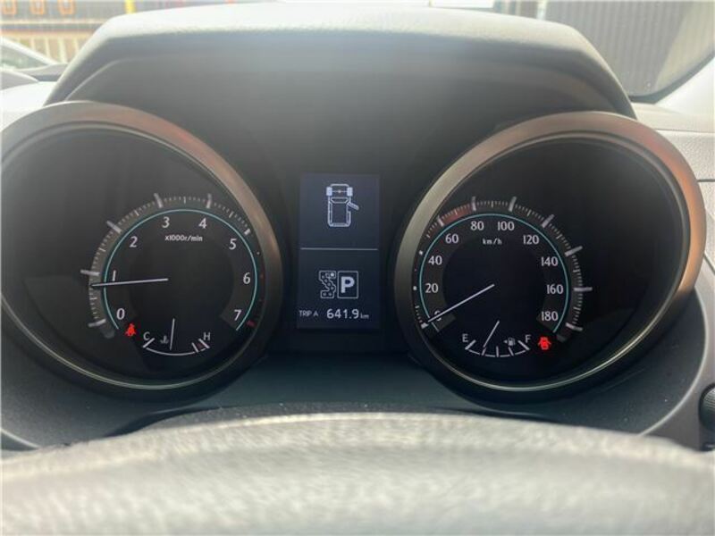 LAND CRUISER PRADO-14