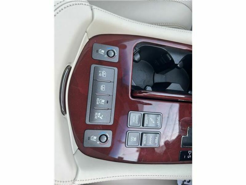 LS-19