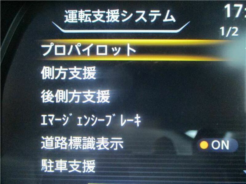 LEAF-37