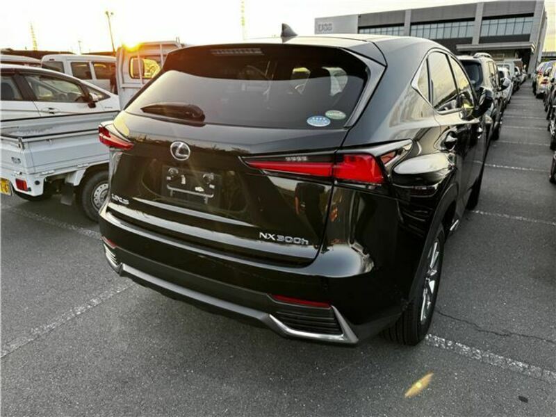 NX