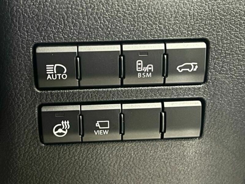 NX