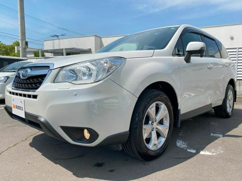 FORESTER-9