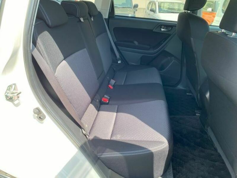 FORESTER-20