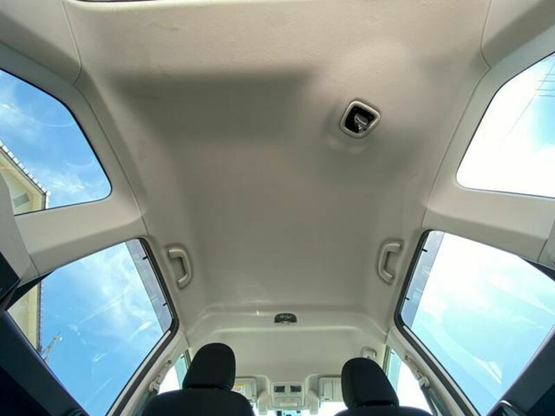 FORESTER-22