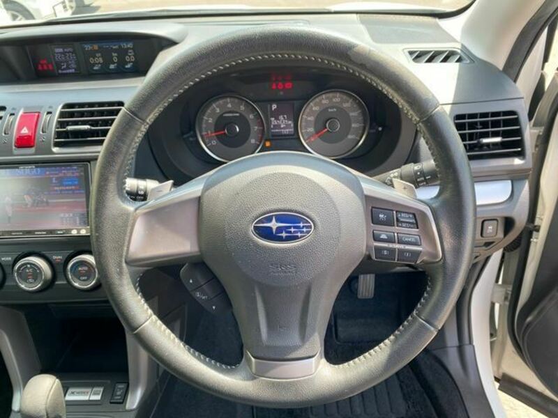FORESTER-30