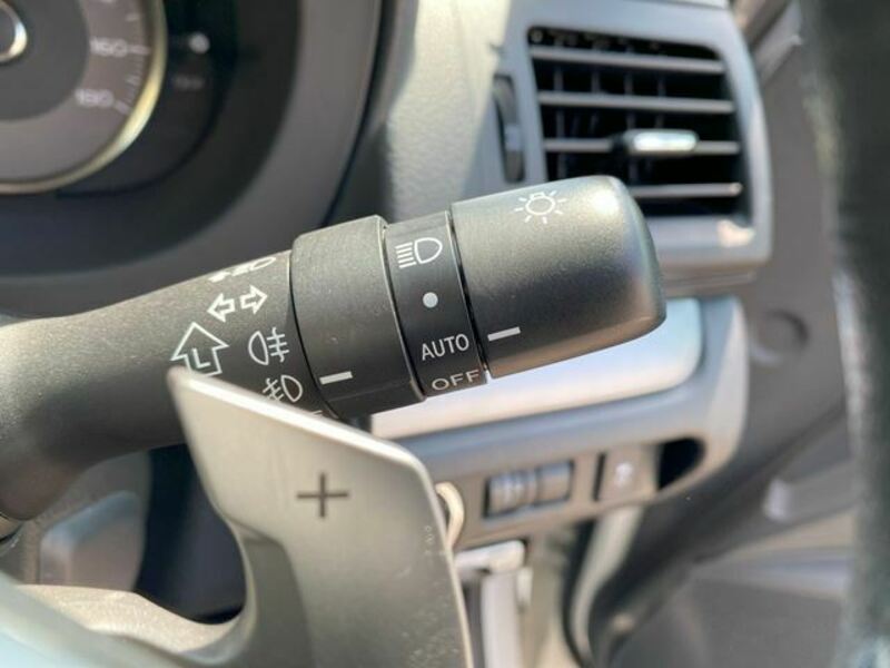 FORESTER-31