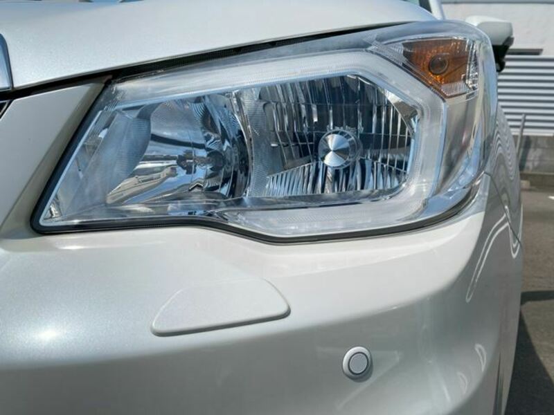FORESTER-35