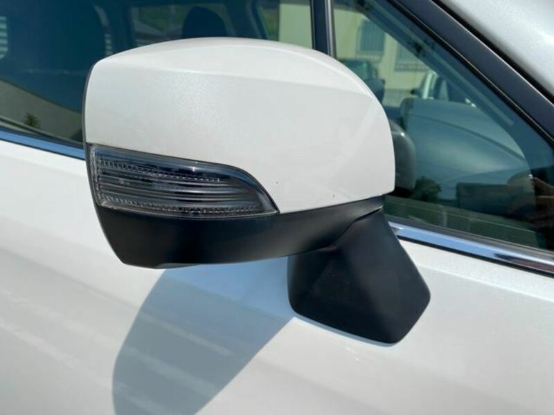 FORESTER-38