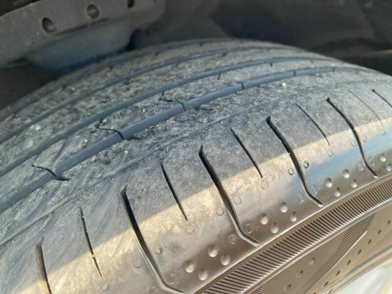 FORESTER-40