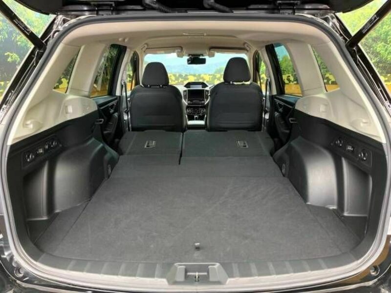 FORESTER-10