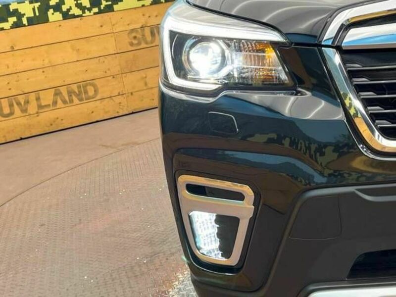 FORESTER-12