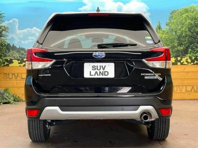 FORESTER-15