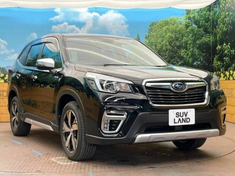 FORESTER-16