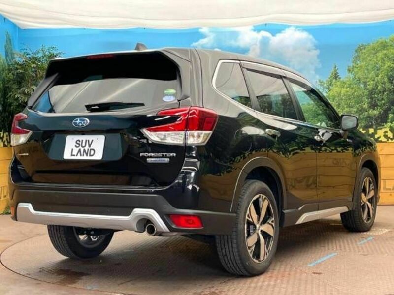 FORESTER-17