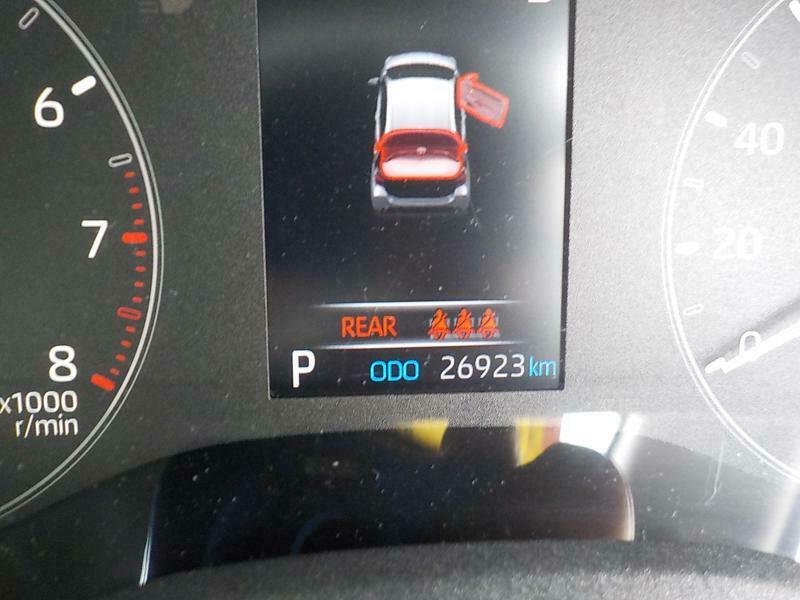 YARIS-19
