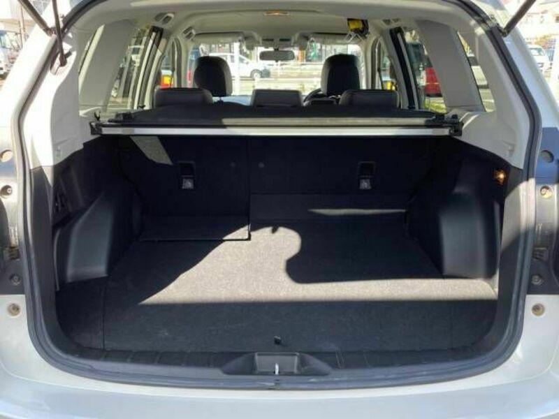 FORESTER-9