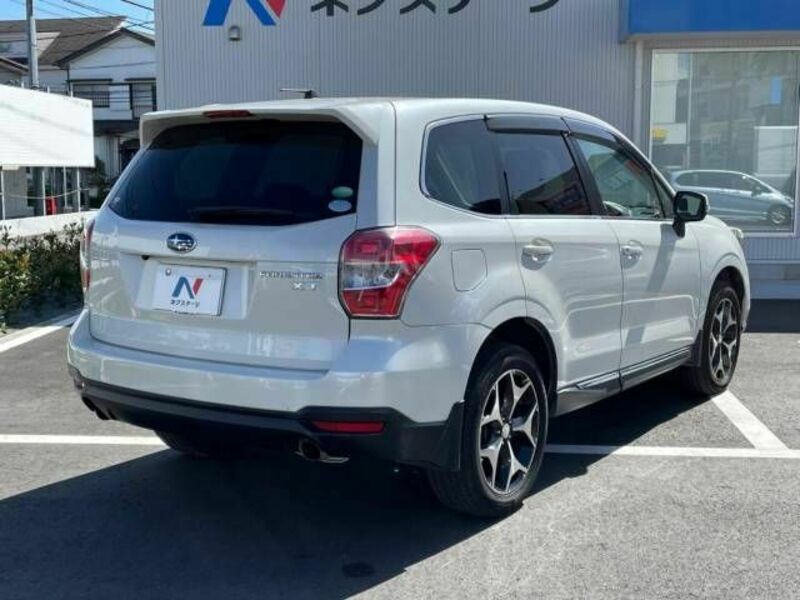 FORESTER-16