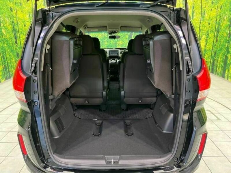 FREED HYBRID-11