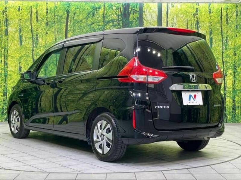 FREED HYBRID-18