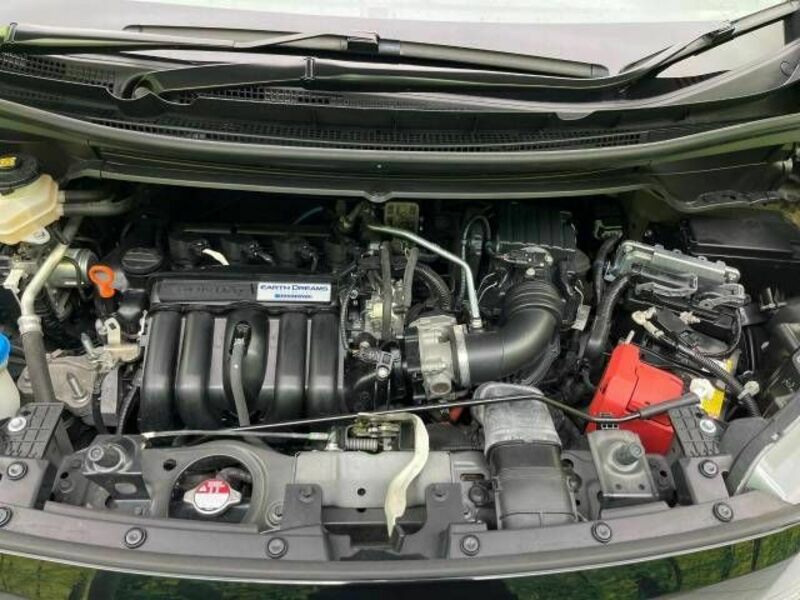 FREED HYBRID-19