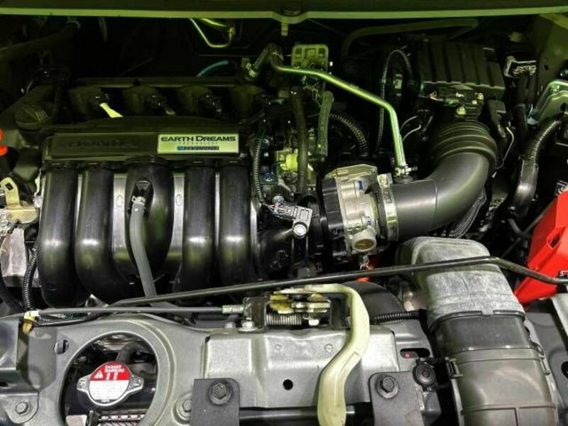 FREED HYBRID-17