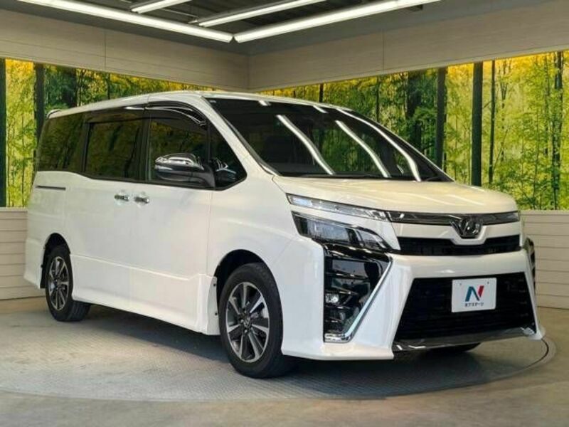 VOXY-17
