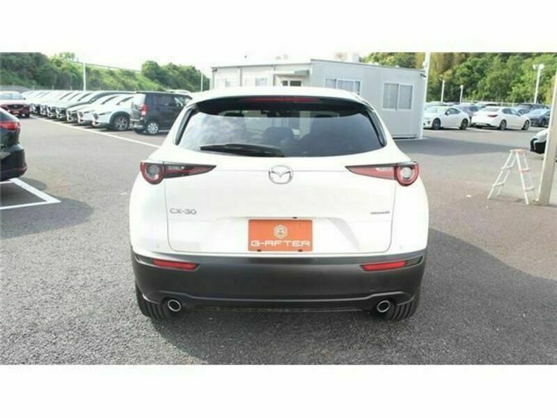 CX-30-8