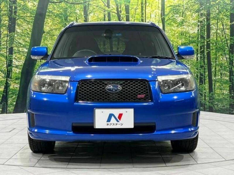 FORESTER-13