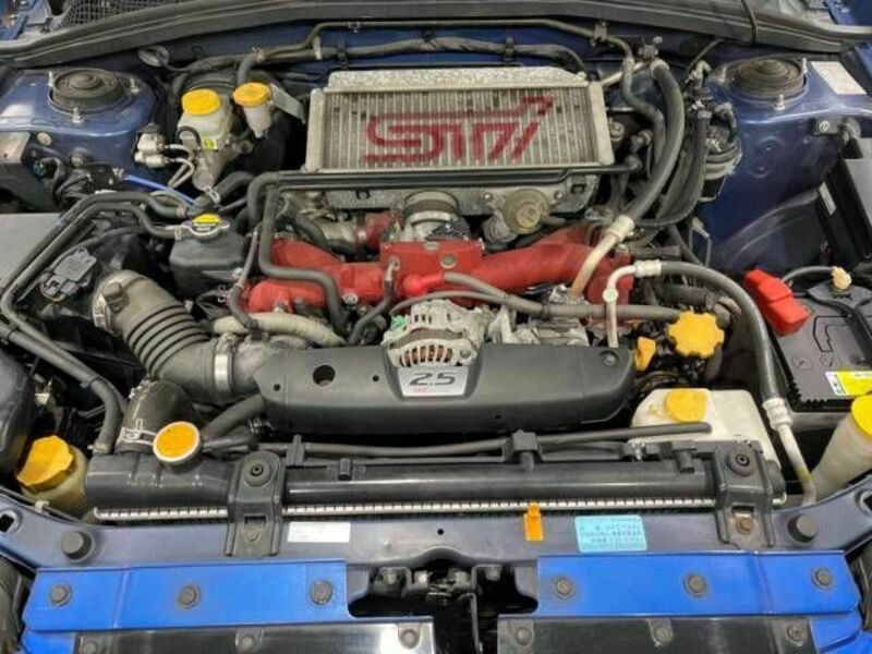 FORESTER-17